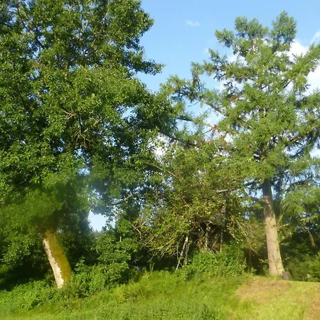 Remise - Schmidsfelden 12 - 88299 * Leutkirch im Allgäu