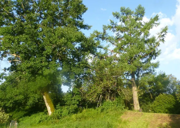 Remise - Schmidsfelden 12 - 88299 * Leutkirch im Allgäu